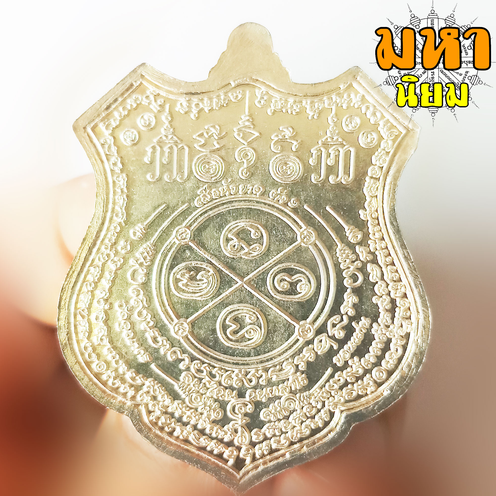 เหรียญเสือหัวขาดตัวหนึ่ง หลวงพ่อไฉน ฉนฺทสาโร จ.ขอนแก่น เนื้อลงยาสี พร้อมกล่องอย่างดี