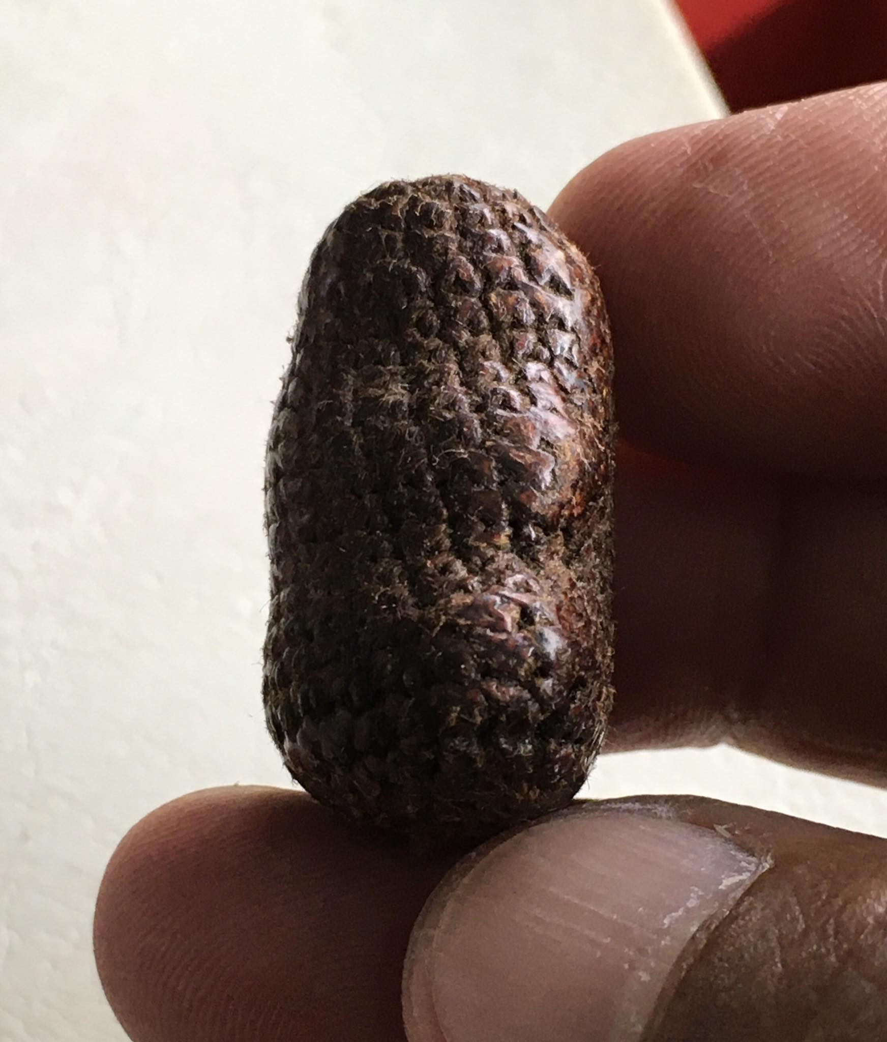 พระปิดตาเนื้อผง คลุงรัก ถักเชือก หลวงพ่อทองสุข วัดสะพานสูง