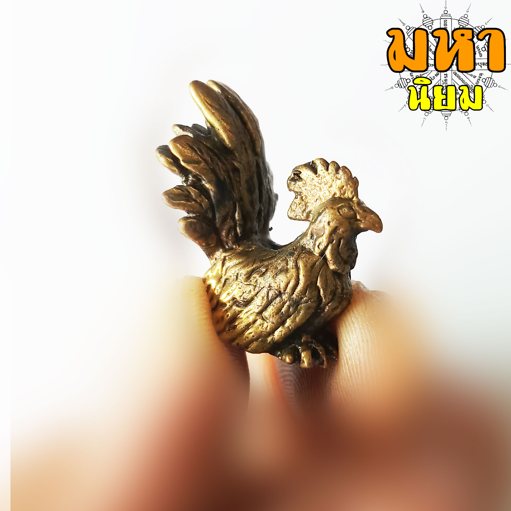 ไก่นำโชค เนื้อทองเหลือง