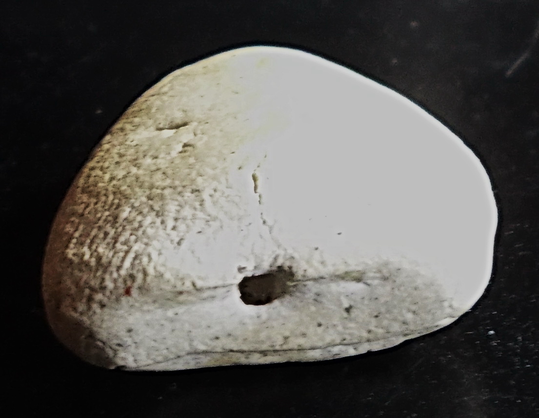 พระปิดตามหาลาภ วัดประสาท ปี 06 #lnw108