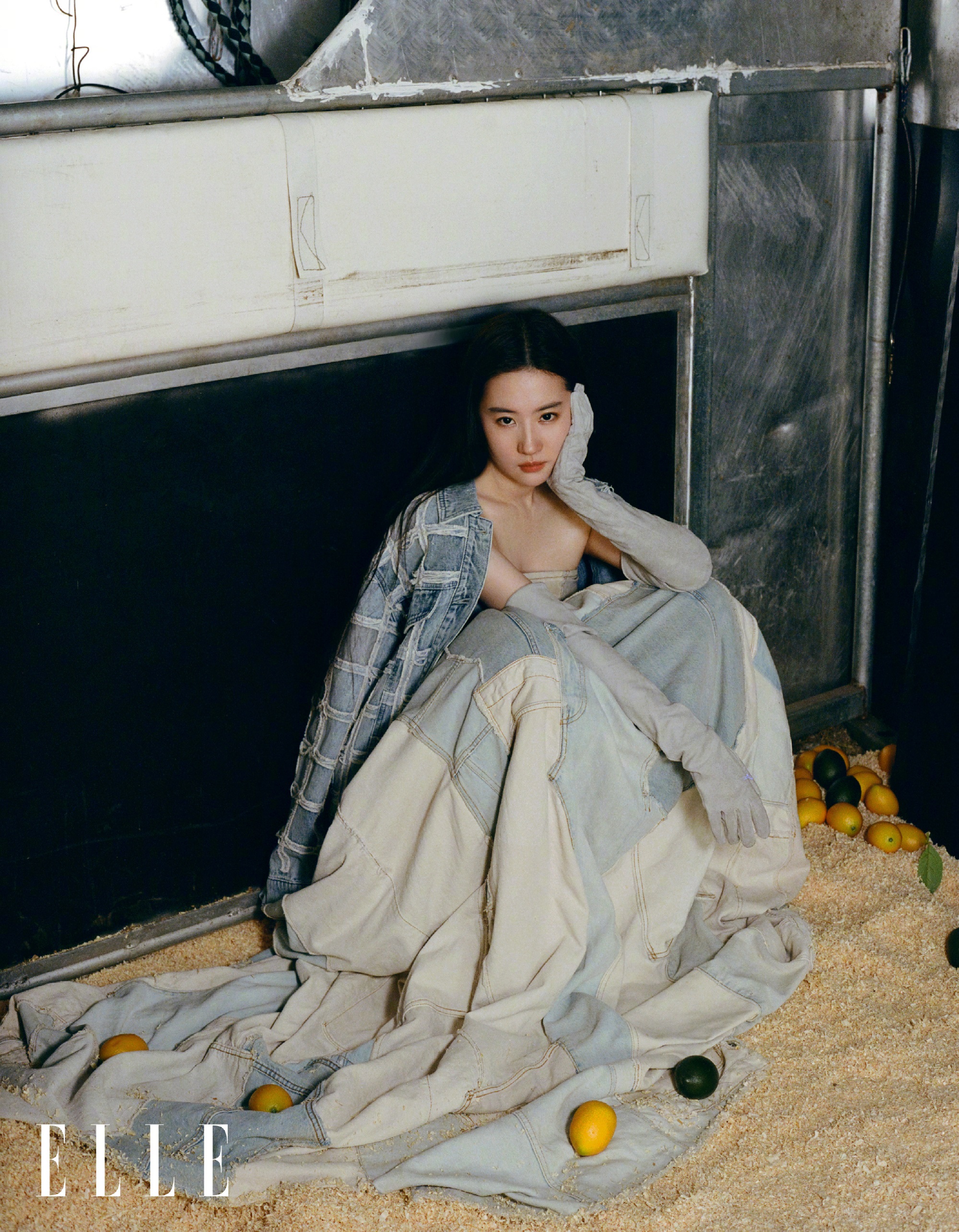 Pre - นิตยสาร ELLE หลิวอี้เฟย LiuYifei 2022