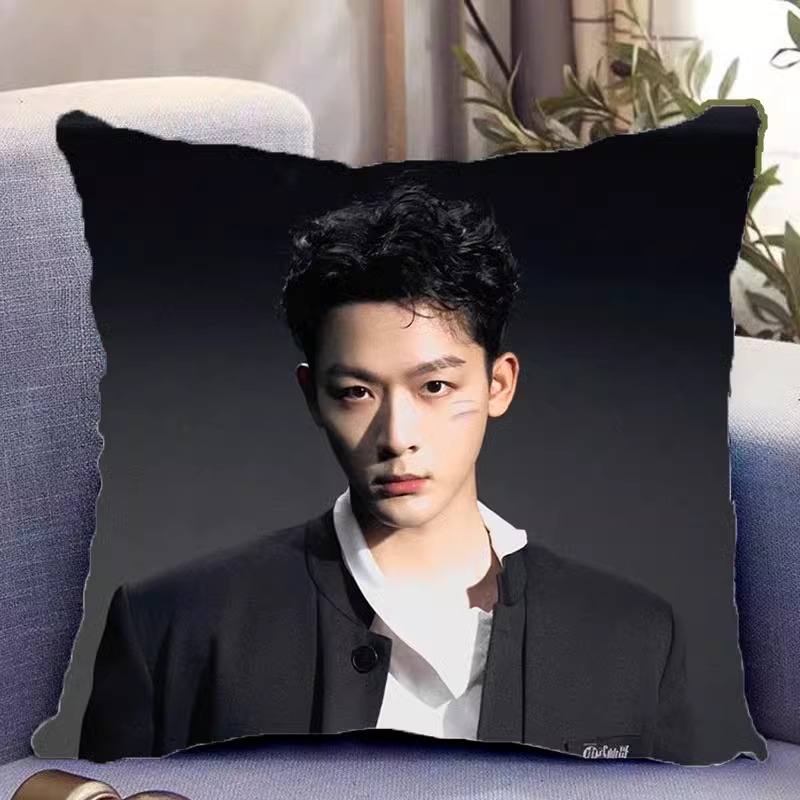 Pre - หมอนลาย จางหว่านอี้ ZhangWanYi (ไม่ใช่สินค้าอฟช.)40 ซม.