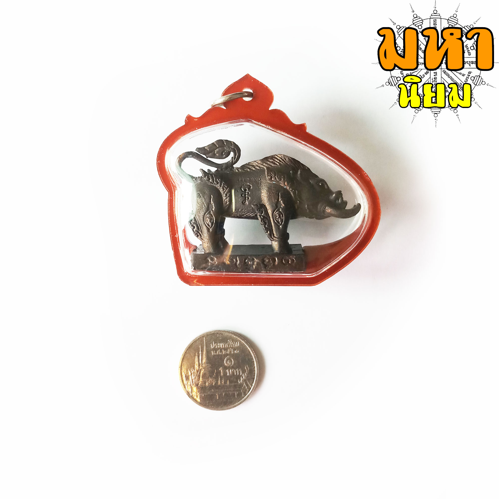 พญาหมูเขี้ยวเพชร หลวงปู่กาหลง เขี้ยวแก้ว วัดเขาแหลม จ.สระแก้ว