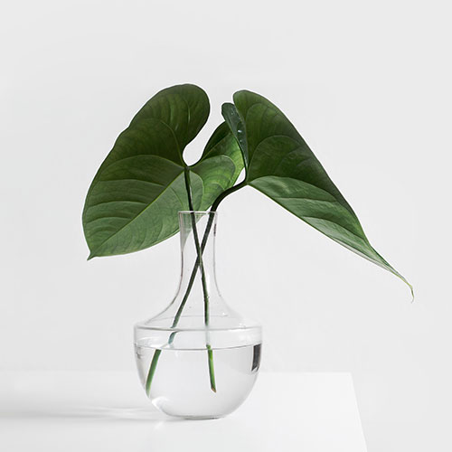 Artificial potted plant C