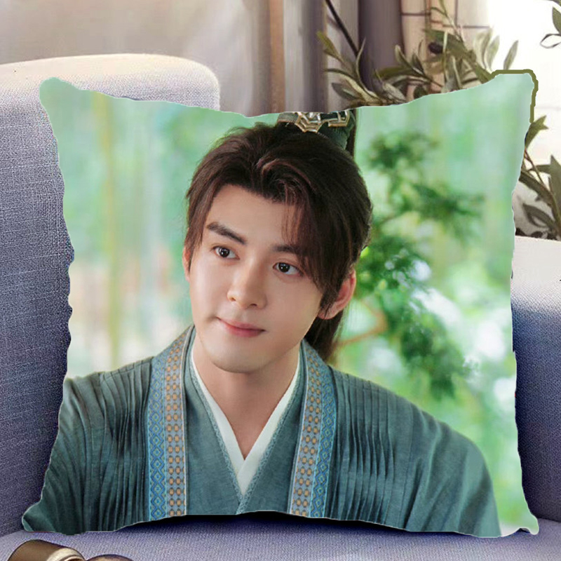 Pre - หมอนลายเจิงซุ่นซี ZengShunxi 40 cm หมอนดารา