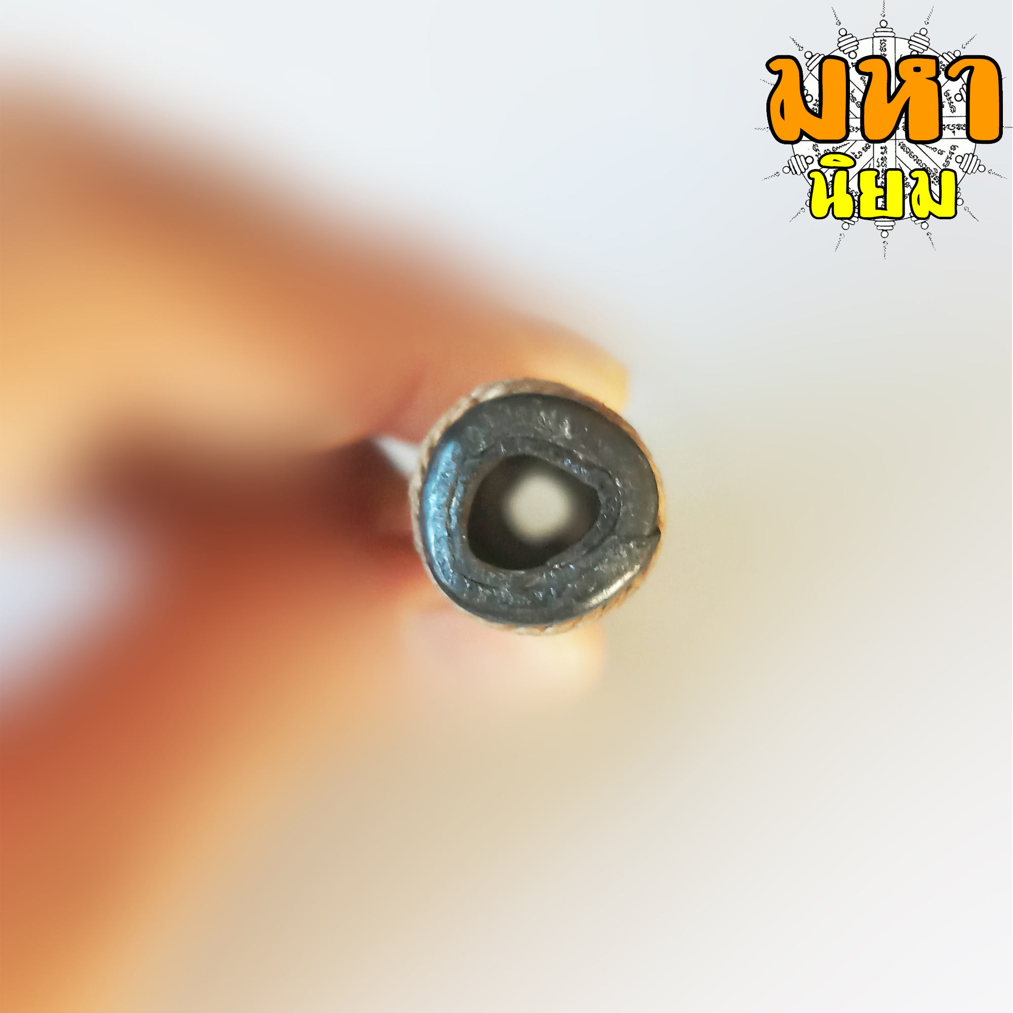 ตะกรุดโทน หลวงปู่ศุข วัดปากคลองมะขามเฒ่า จ.ชัยนาท