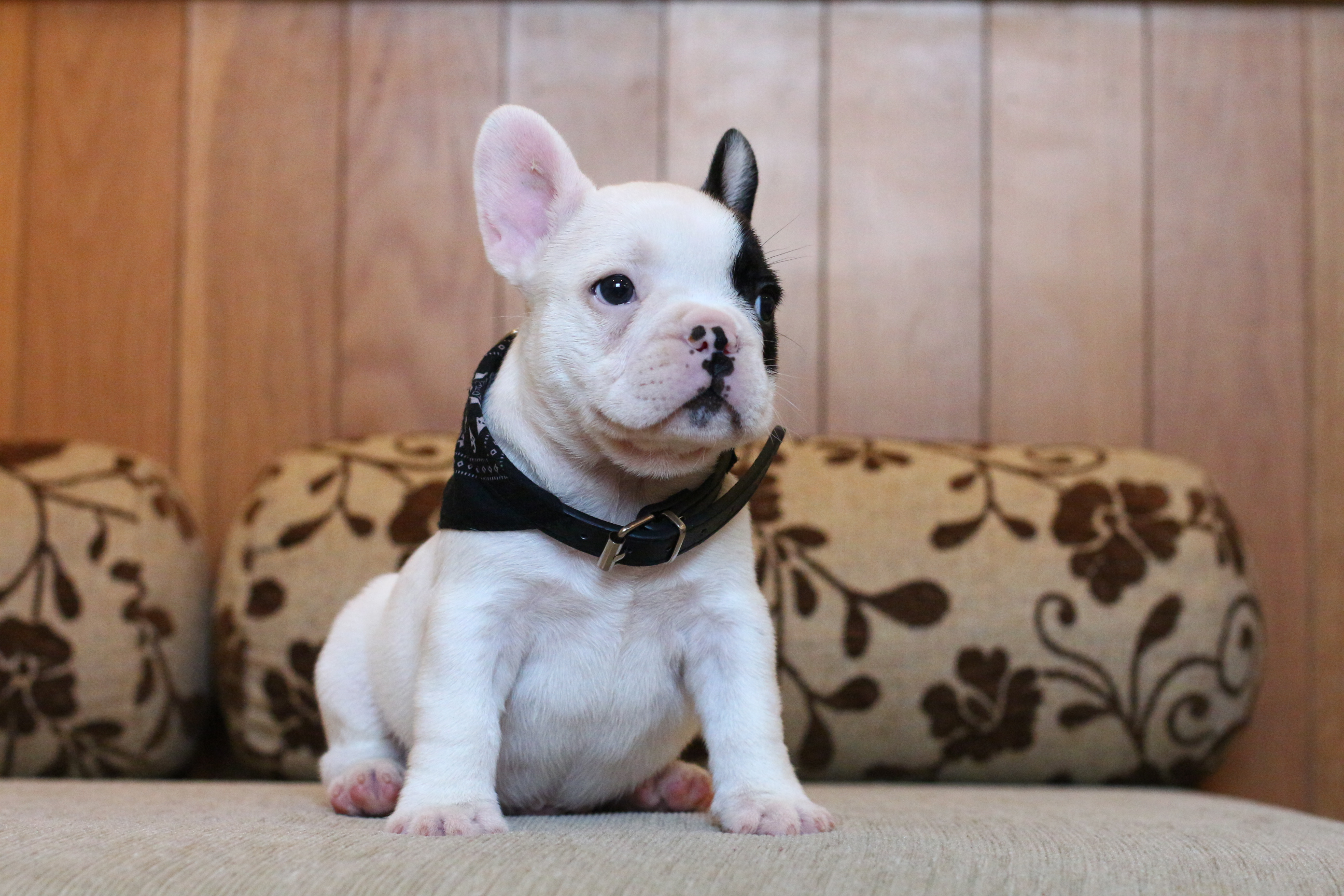 เด็กชายกันดั้ม หน้าตาเท่ห์ๆ โครงสร้างสวยๆ