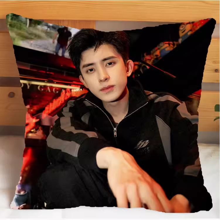 Pre - หมอนลาย อ๋าวรุ่ยเผิง AoRuipeng 40 cm.(ไม่ใช่สินค้าอฟช.)