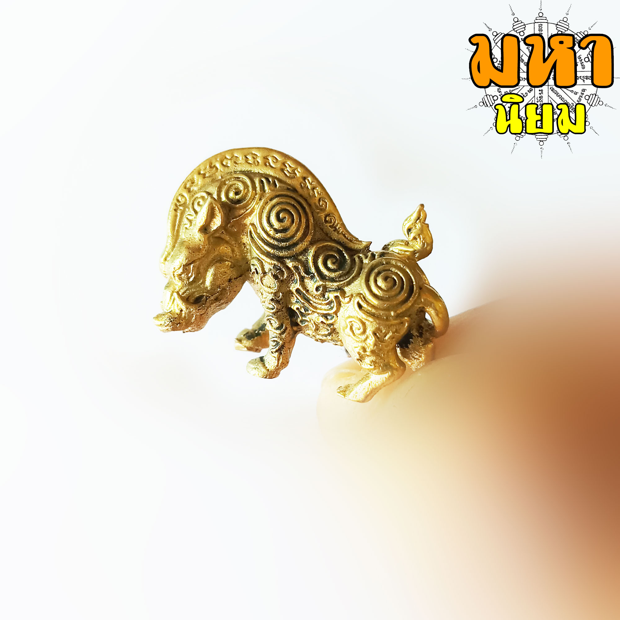 หมูป่ามหาเวทย์ หลวงปู่กาหลง เขี้ยวแก้ว วัดเขาแหลม จ.สระแก้ว