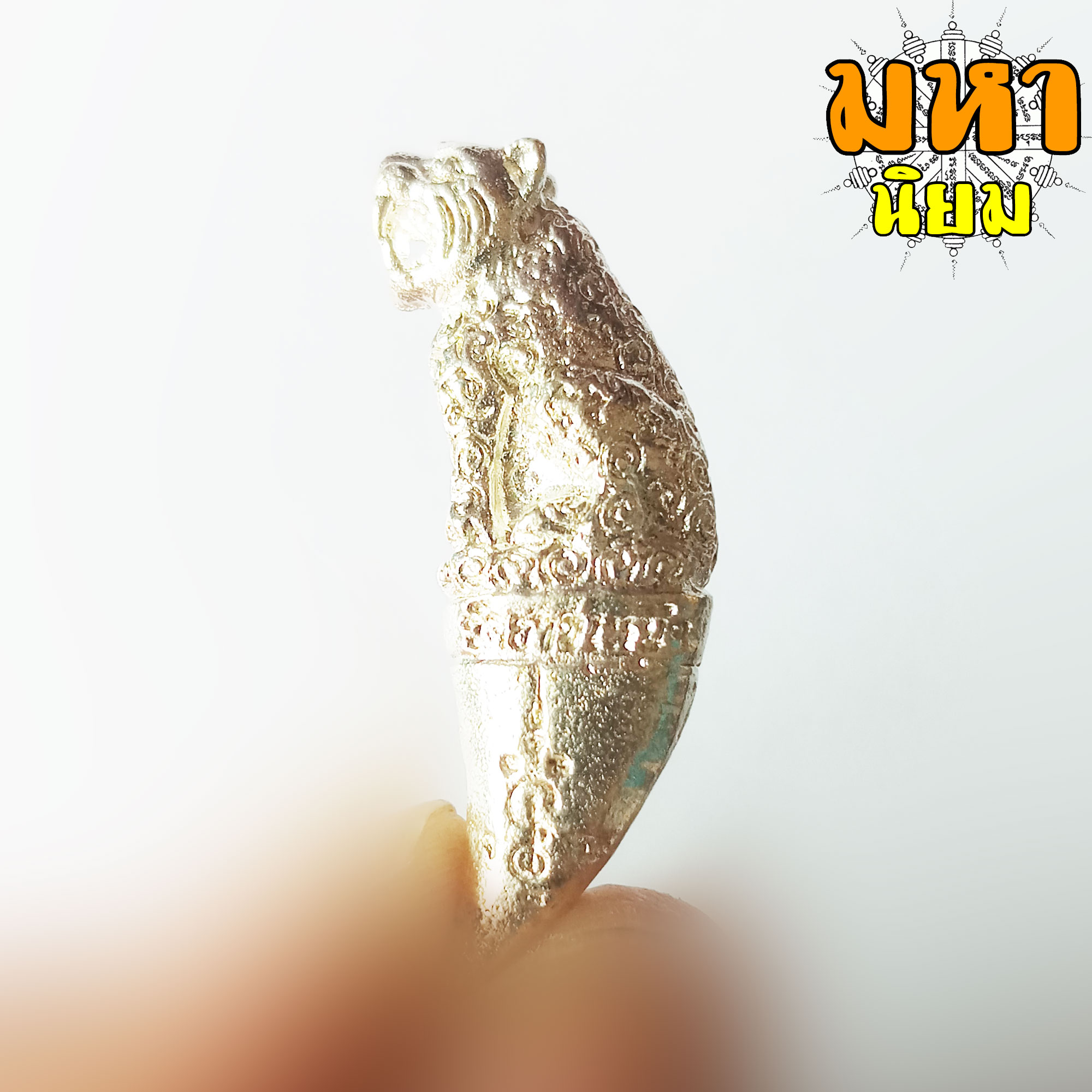 เขี้ยวเสือพุทธาคม หลวงพ่อหวล วัดชาวเหนือ จ.ราชบุรี