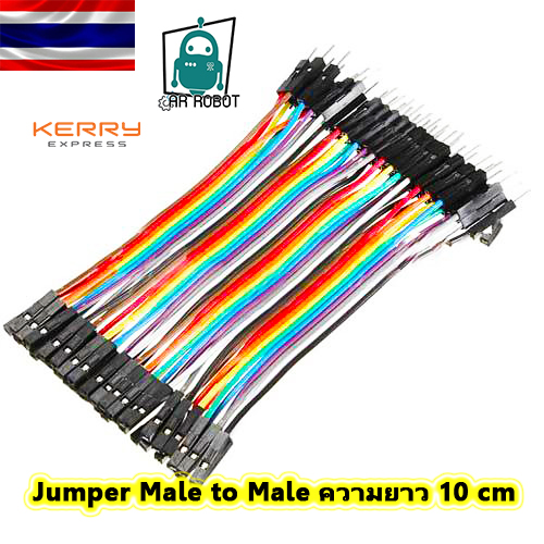สายจัมเปอร์ ชาย+หญิง 10เซนติเมตร 40 เส้น