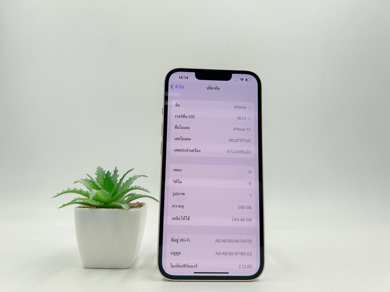 iPhone 13 256GB สี Starlight