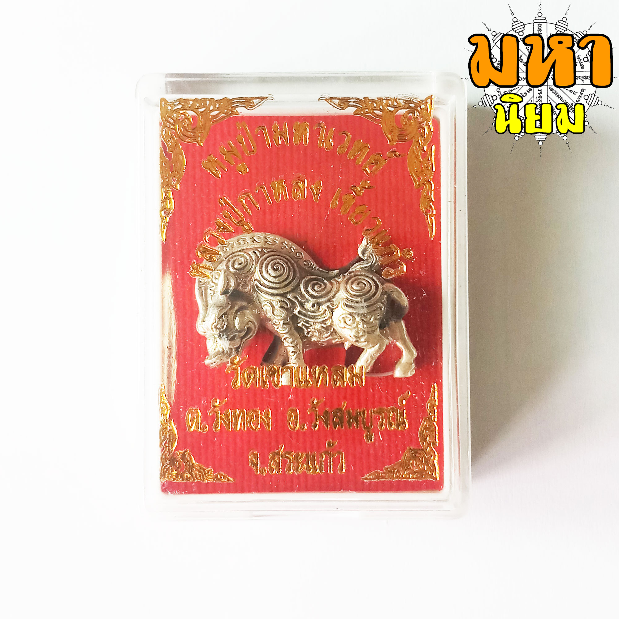 หมูป่ามหาเวทย์ หลวงปู่กาหลง เขี้ยวแก้ว วัดเขาแหลม จ.สระแก้ว