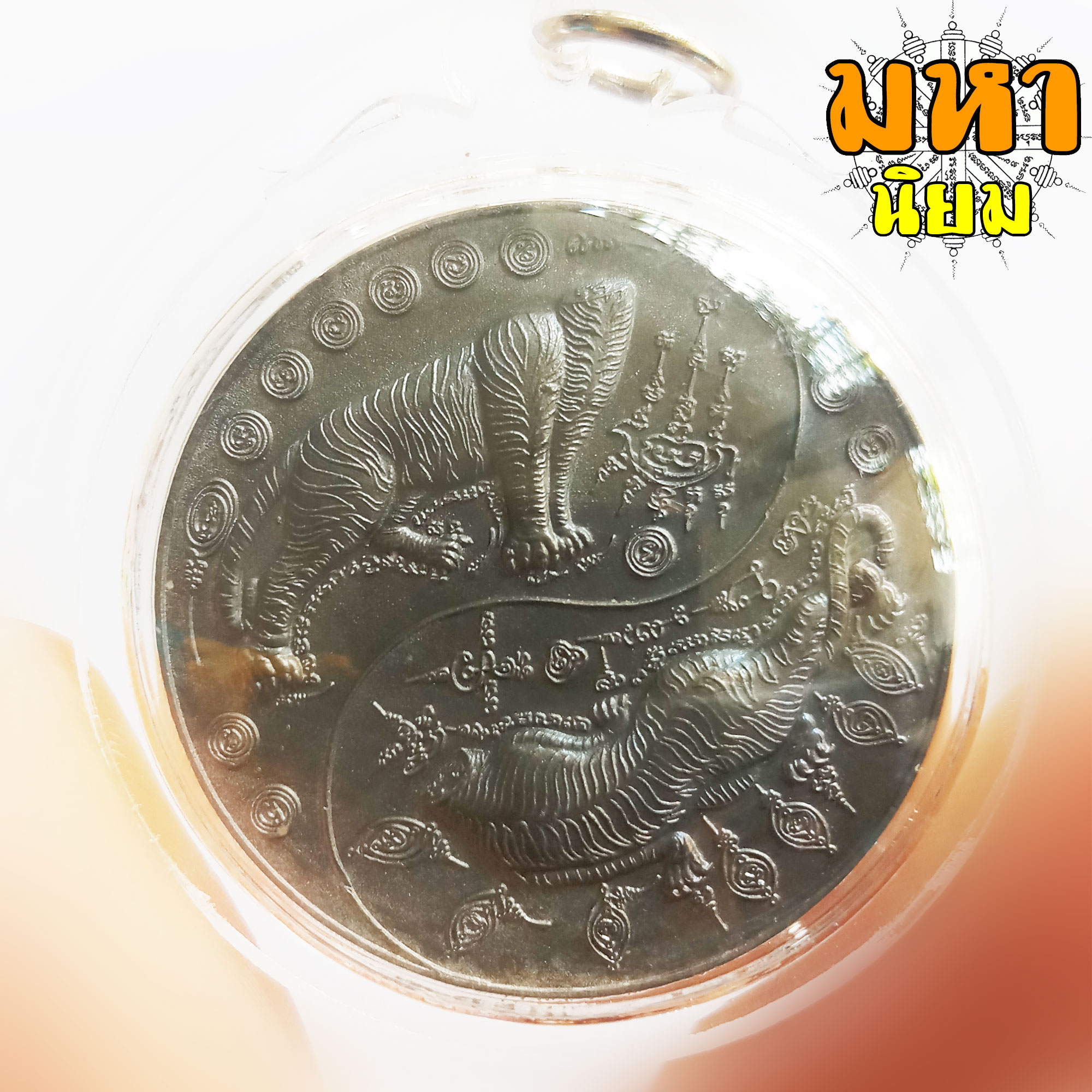 เหรียญพยัคฆ์หยินหยาง หลวงพ่อไฉน ฉนฺทสาโร จ.ขอนแก่น เนื้อนวะโลหะ เลี่ยมกรอบอย่างดี