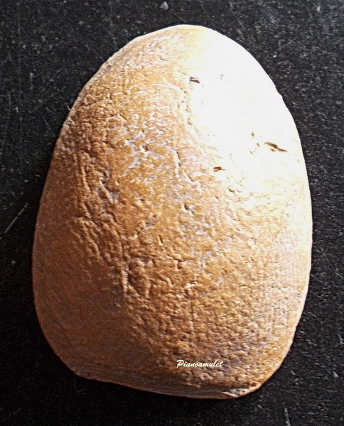 พระเม็ดบัว เนื้อดิน เจ้าคุณโพธิ์ กรุวัดชัยพฤกษมาลา