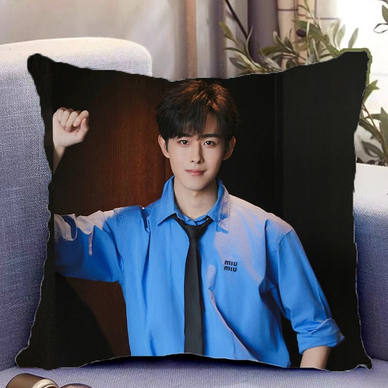 Pre - หมอนลายเถียนเจียรุ่ย 田嘉瑞 TianJiarui 40 cm