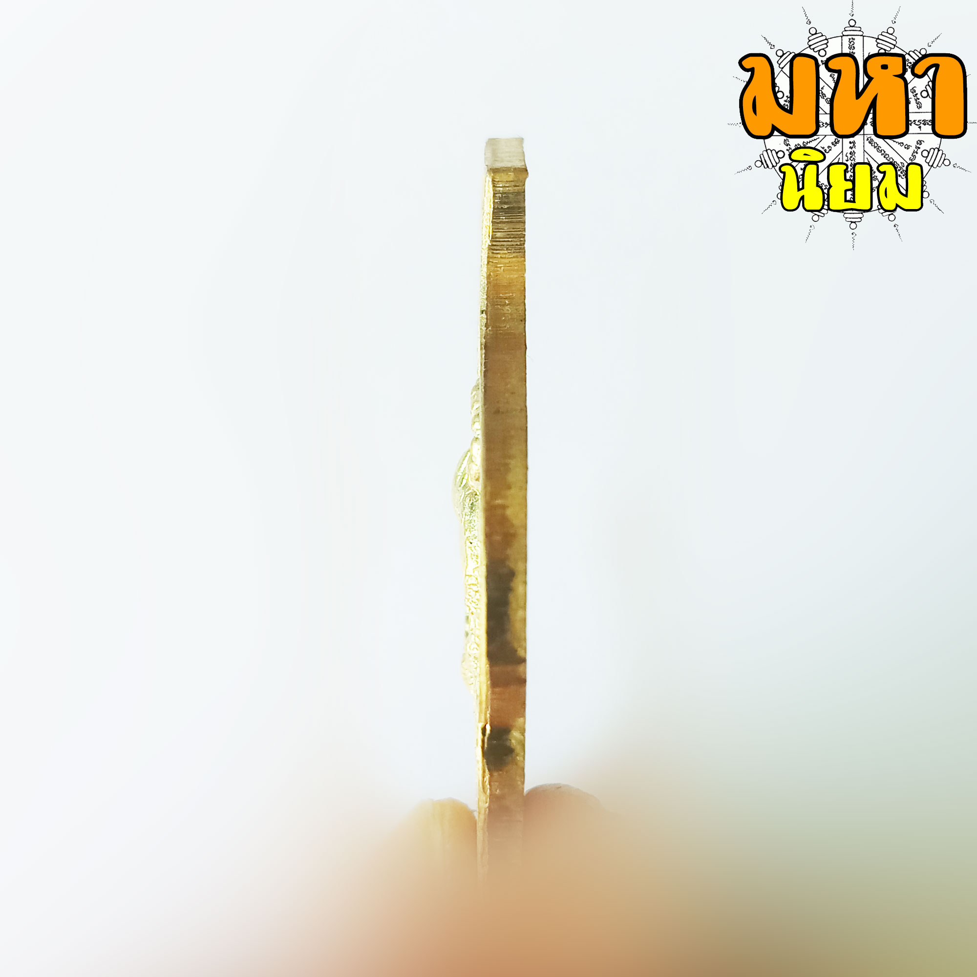 เหรียญเสือหัวขาดตัวหนึ่ง หลวงพ่อไฉน ฉนฺทสาโร จ.ขอนแก่น พร้อมกล่องอย่างดี