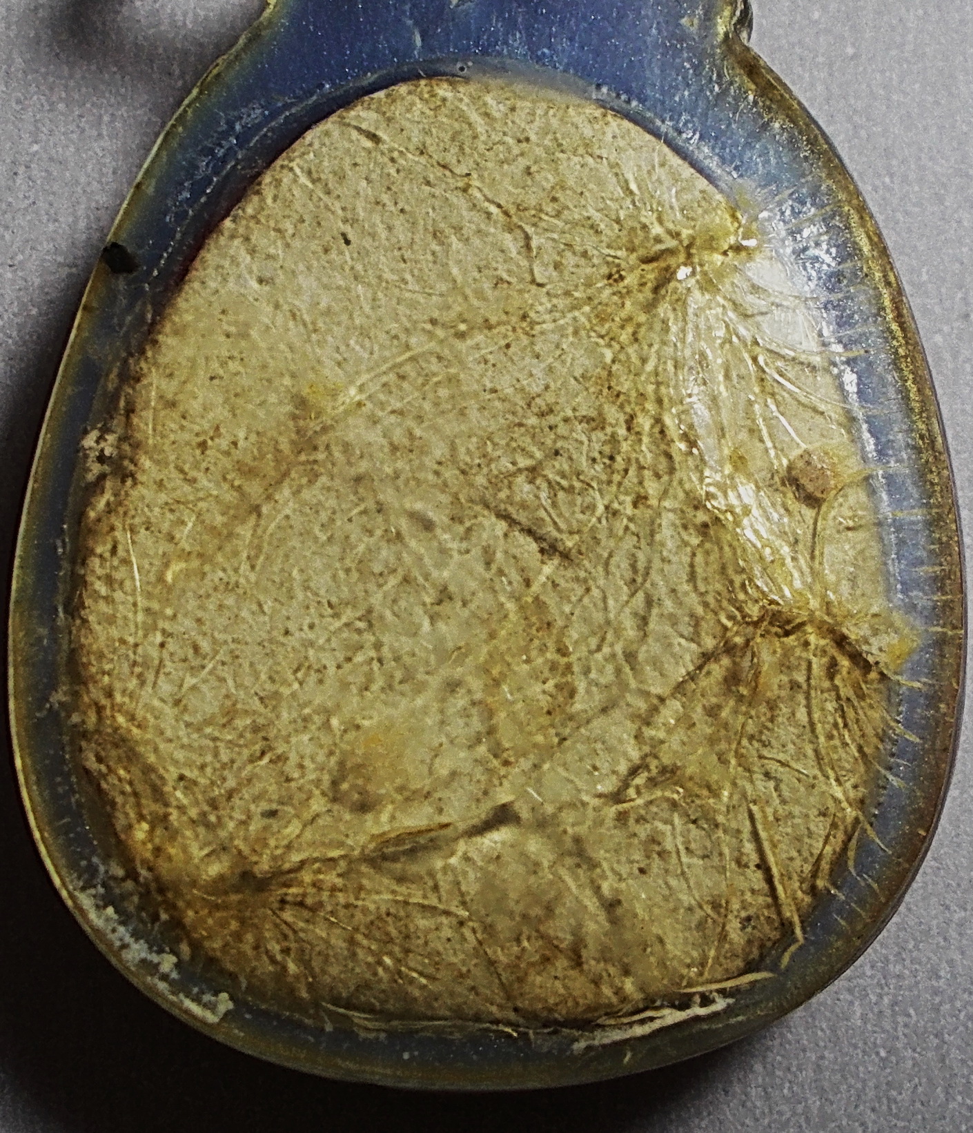 พระสังกัจจายน์ เนื้อผง วัดหนองอีดุก ลพ.กวย ปลุกเสก #lnw678