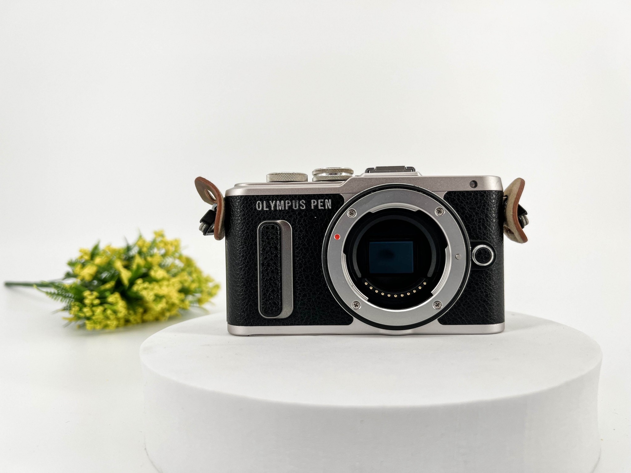 Olympus PEN E-PL8 + Lens 14-42 mm.
