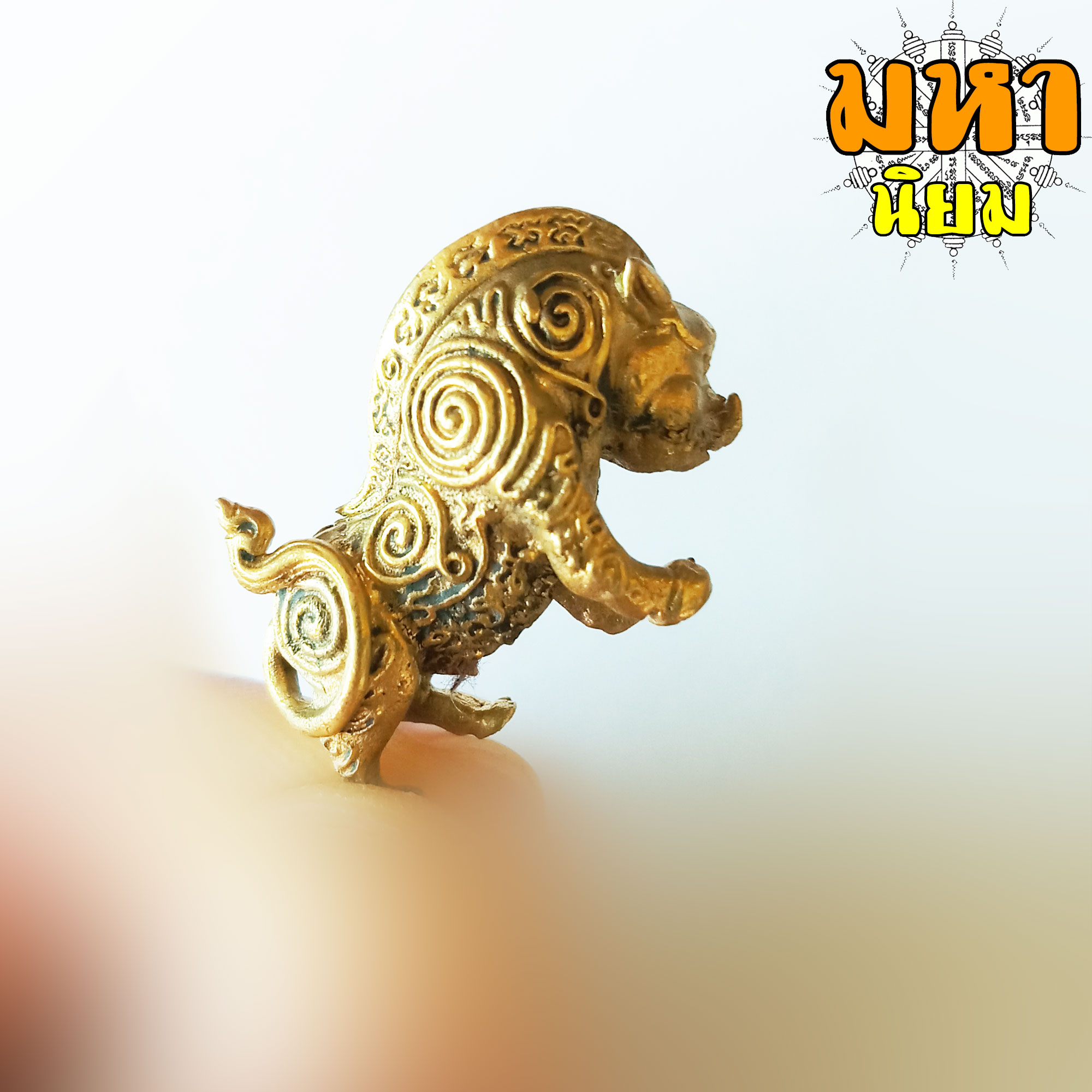 หมูป่ามหาเวทย์ หลวงปู่กาหลง เขี้ยวแก้ว วัดเขาแหลม จ.สระแก้ว