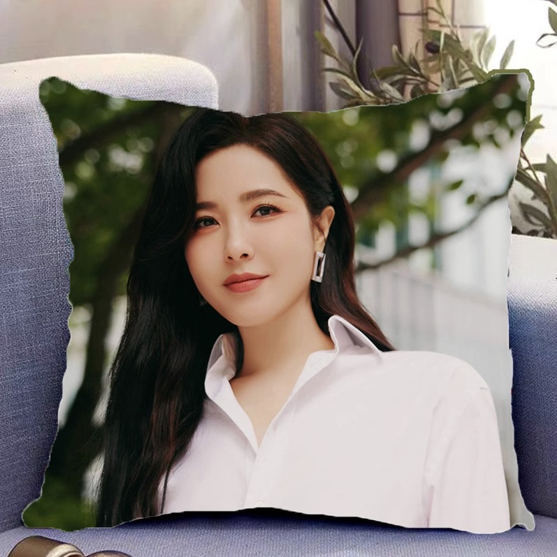 Pre - หมอนลาย zengli เจิงหลี 40 cm ซีรี่ย์จีน หมอนอิง