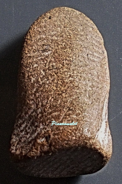 พระรอด เนื้อดิน กรุวัดหัวข่วง เชียงใหม่