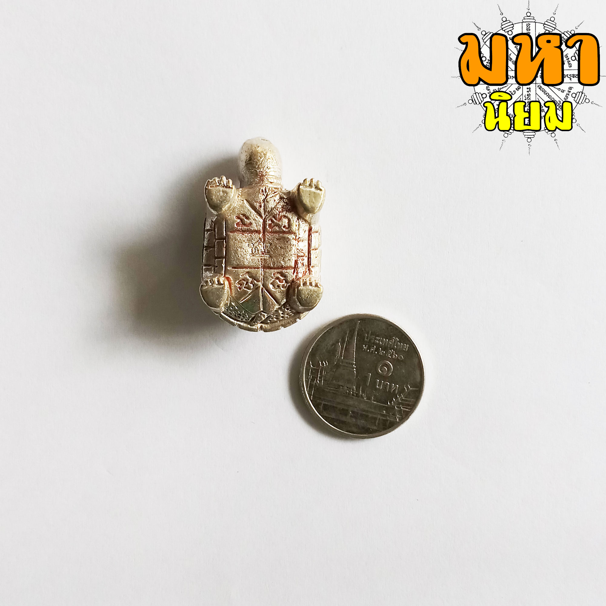 เต่า อิสริโก เนื้อกะไหล่เงิน หลวงปู่ทิม วัดละหารไร่ จ.ระยอง