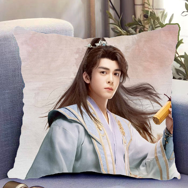 Pre - หมอนลายเจิงซุ่นซี ZengShunxi 40 cm หมอนดารา