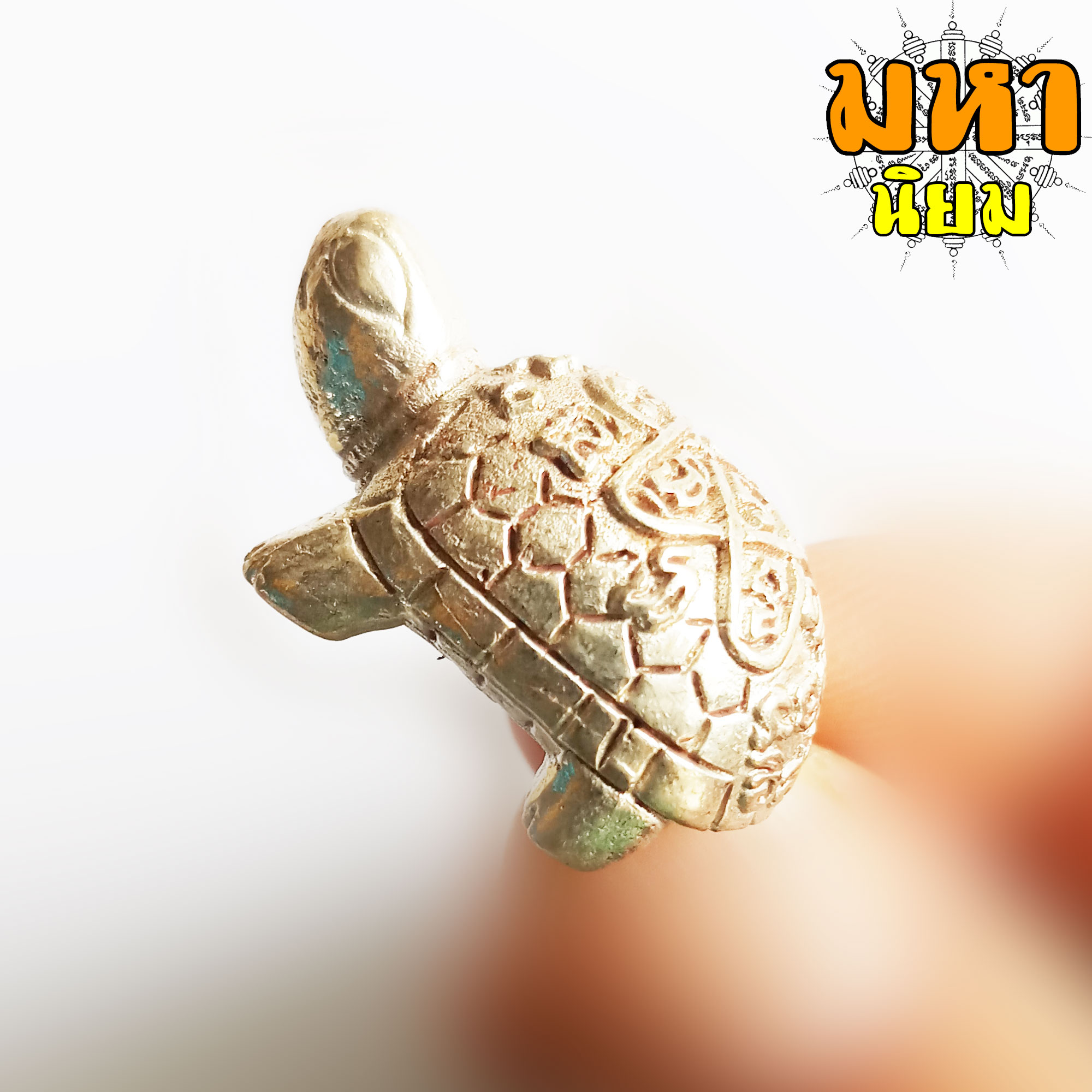 เต่า อิสริโก เนื้อกะไหล่เงิน หลวงปู่ทิม วัดละหารไร่ จ.ระยอง