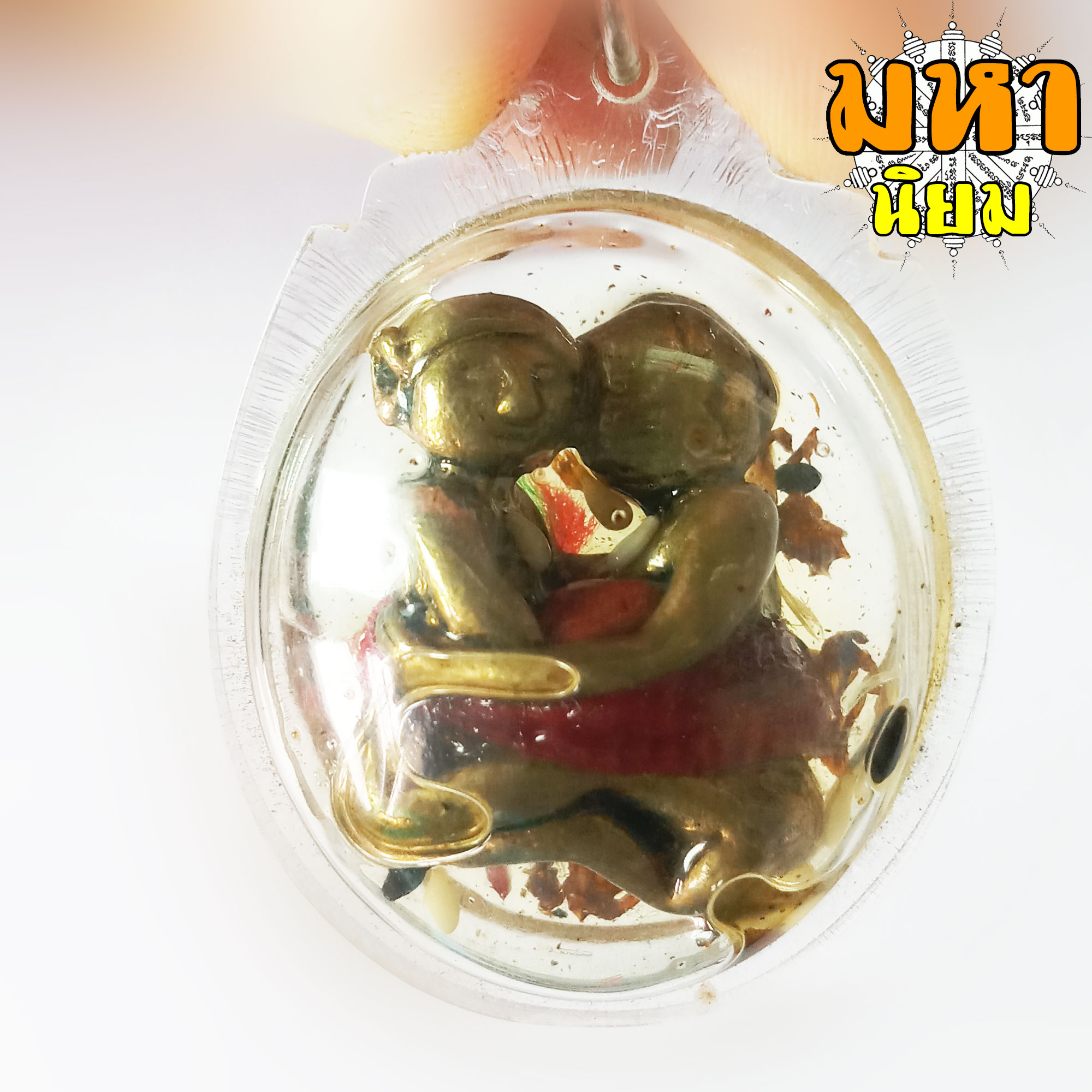 อิ้นคู่ แช่น้ำมัน เลี่ยมกรอบอย่างดี