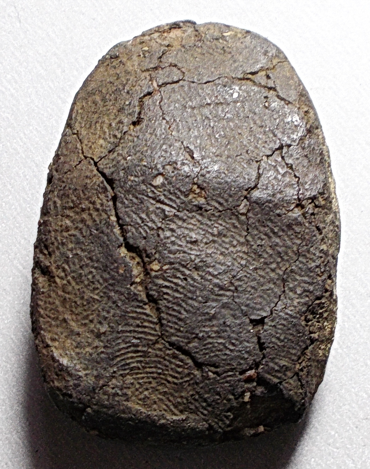 พระพุทธสมาธิเนื้อดินผสมผงใบลาน พิมพ์ใหญ่ข้างขีด หลวงพ่อห่วง วัดท่าใน นครปฐม #lnw657