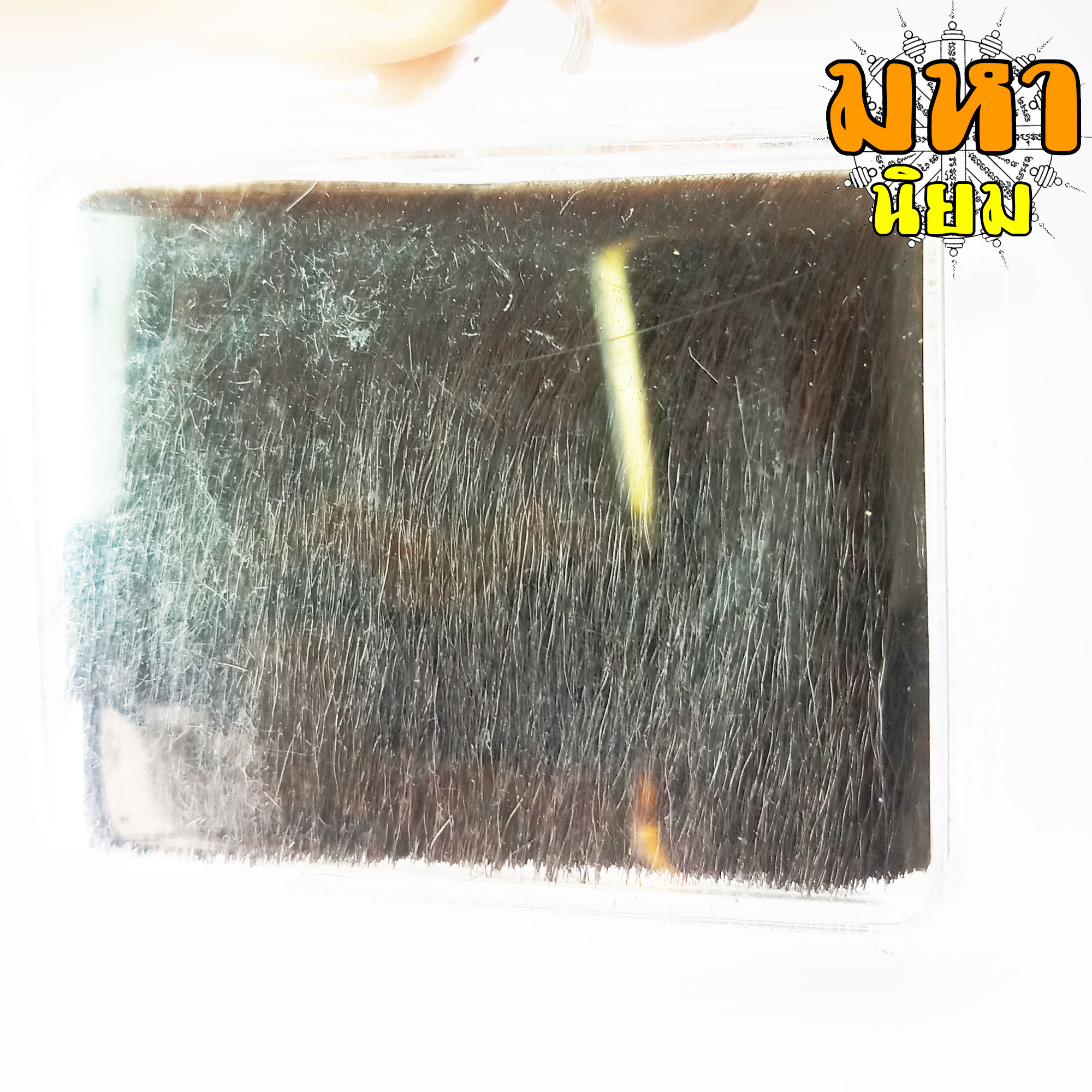 แผ่นหนังเสือ (เสือไฟ) ลงหมึกจารกำกับ ฤาษีเดินดง หลวงพ่อเปิ่น วัดบางพระ จ.นครปฐม เลี่ยมกรอบอย่างดี