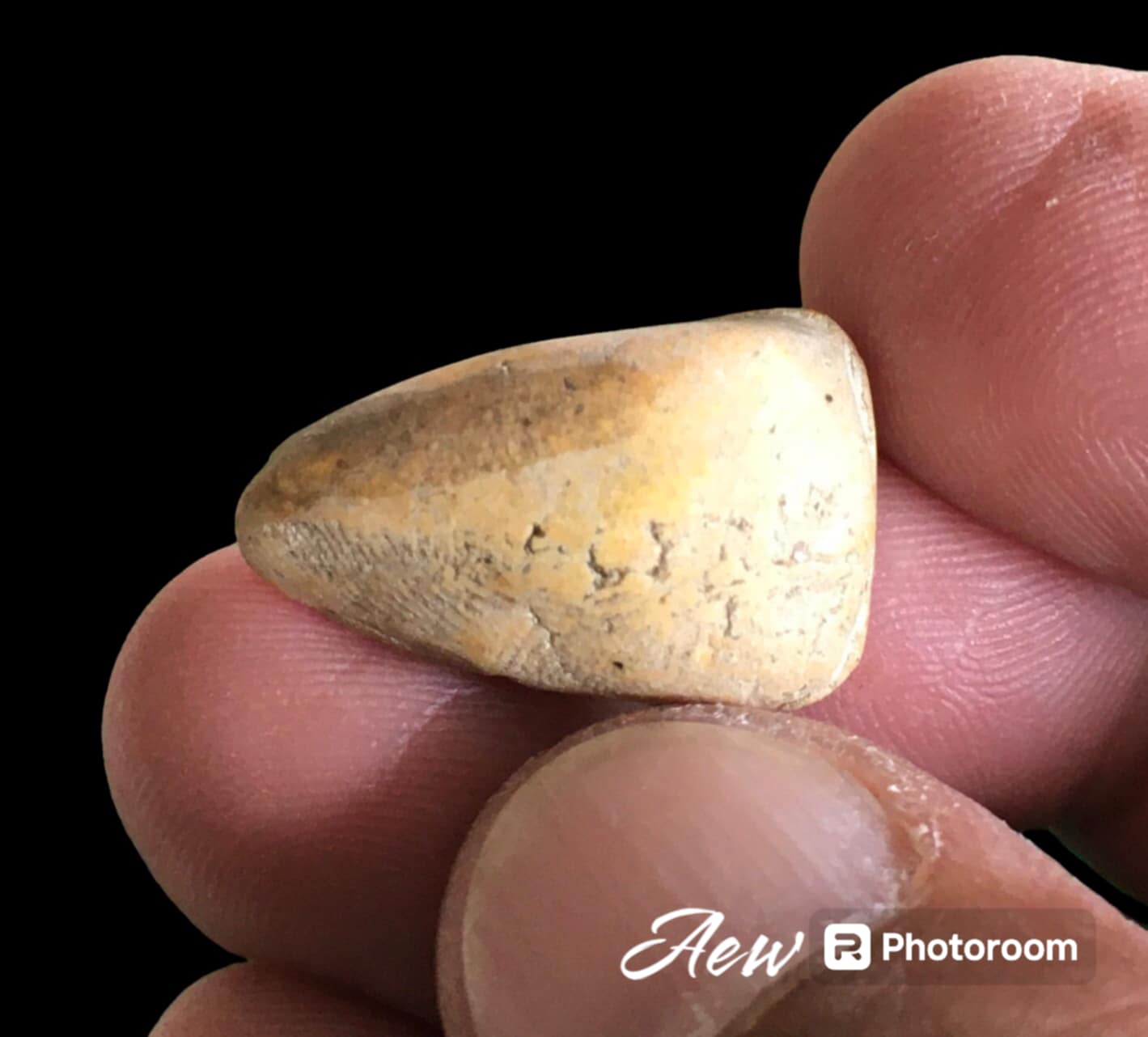 พระโคนสมอเนื้อผง หลวงพ่อคง วัดบางกะพ้อม 2470