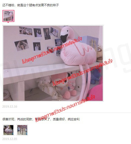 Pre - ตุ๊กตาฟลามิงโก้ #เซียวจ้าน