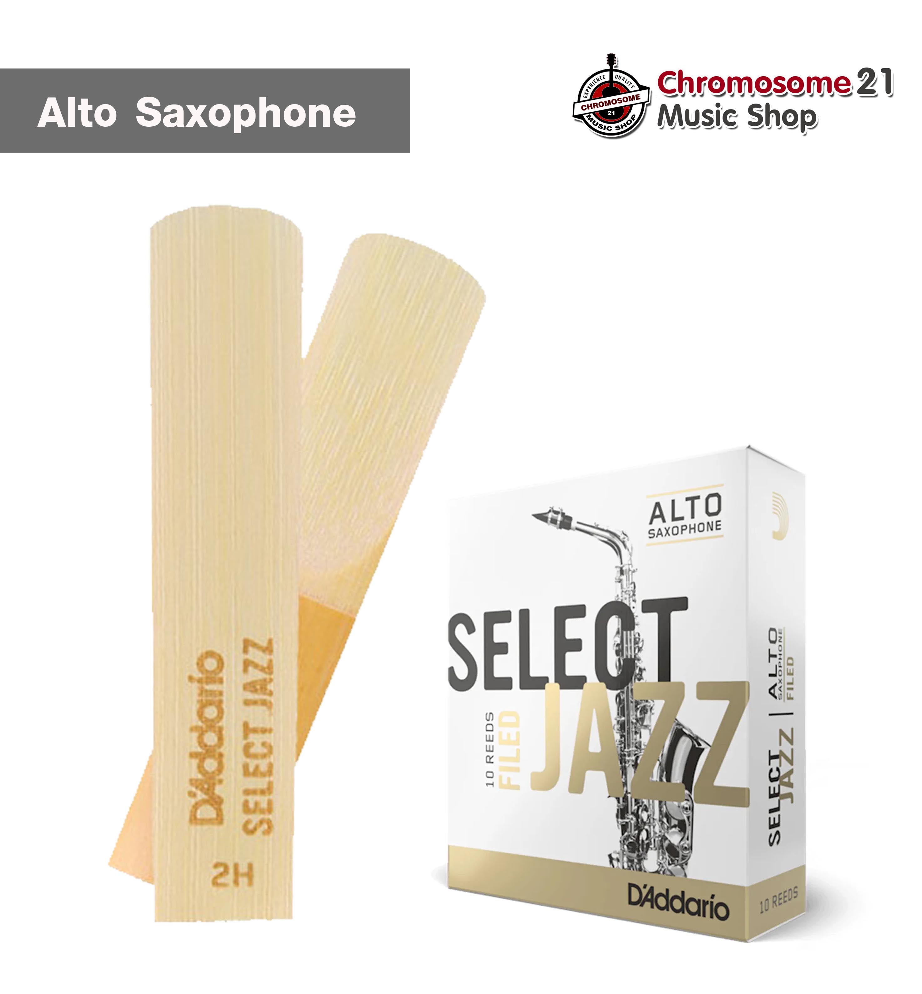 ลิ้นแซก Alto Daddario รุ่น Select Jazz Filed Daddario แพค 10 ลิ้น ขนาด2H