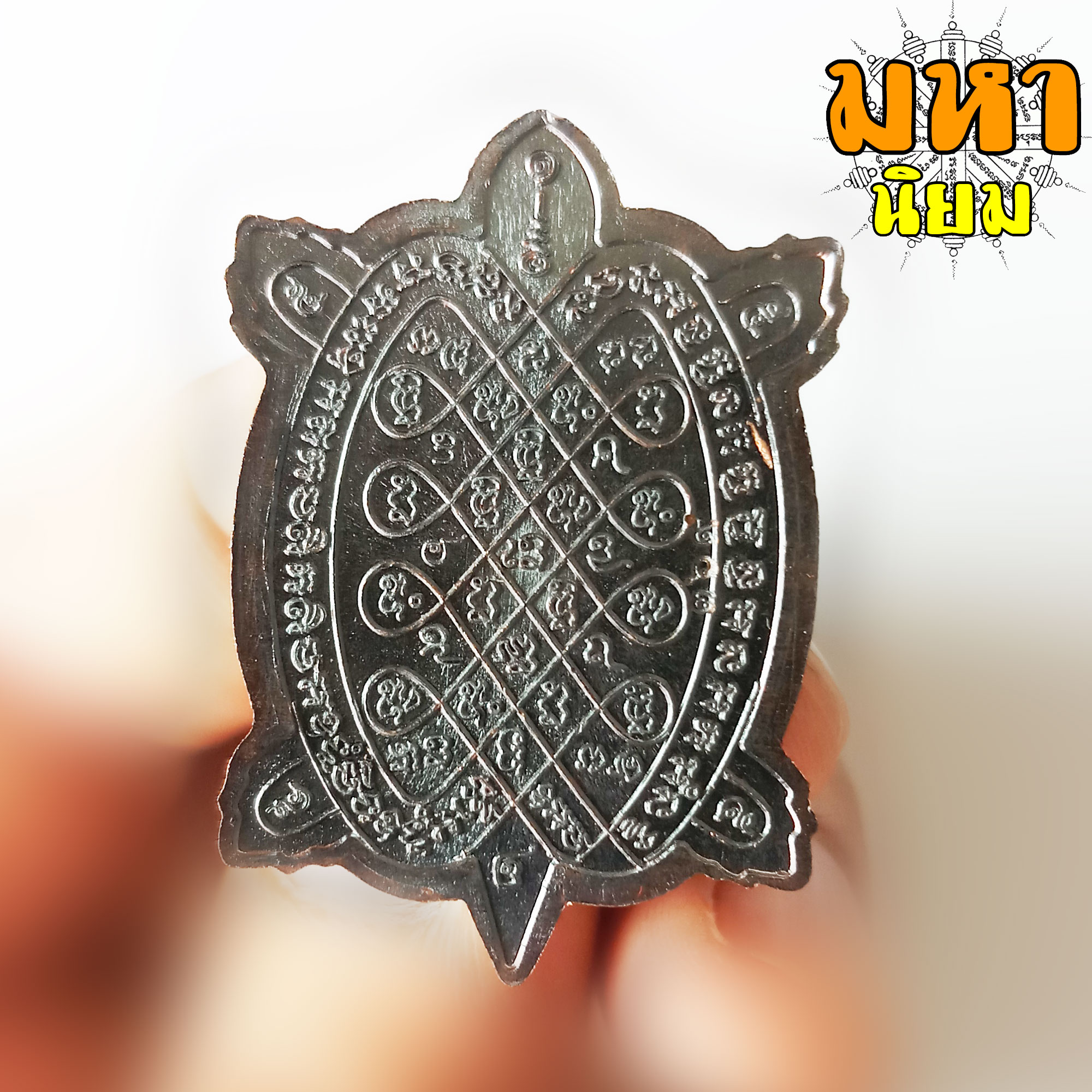 พญาเต่าเรือน รุ่นแสนสุขใจ หลวงปู่แสน วัดหนองจิก จ.ศรีสะเกษ