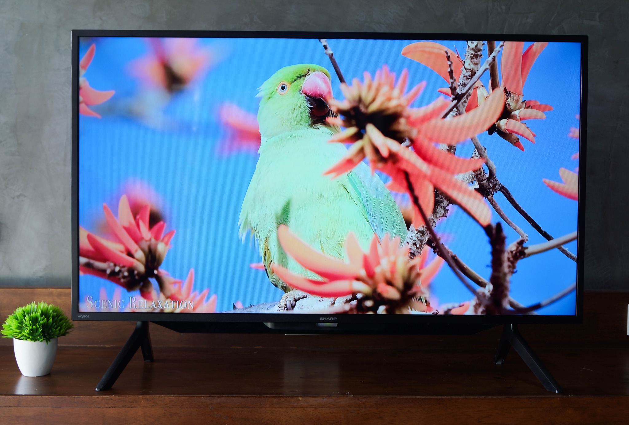 SHARP ทีวี FHD LED (42", Android) รุ่น 2T-C42BG1X