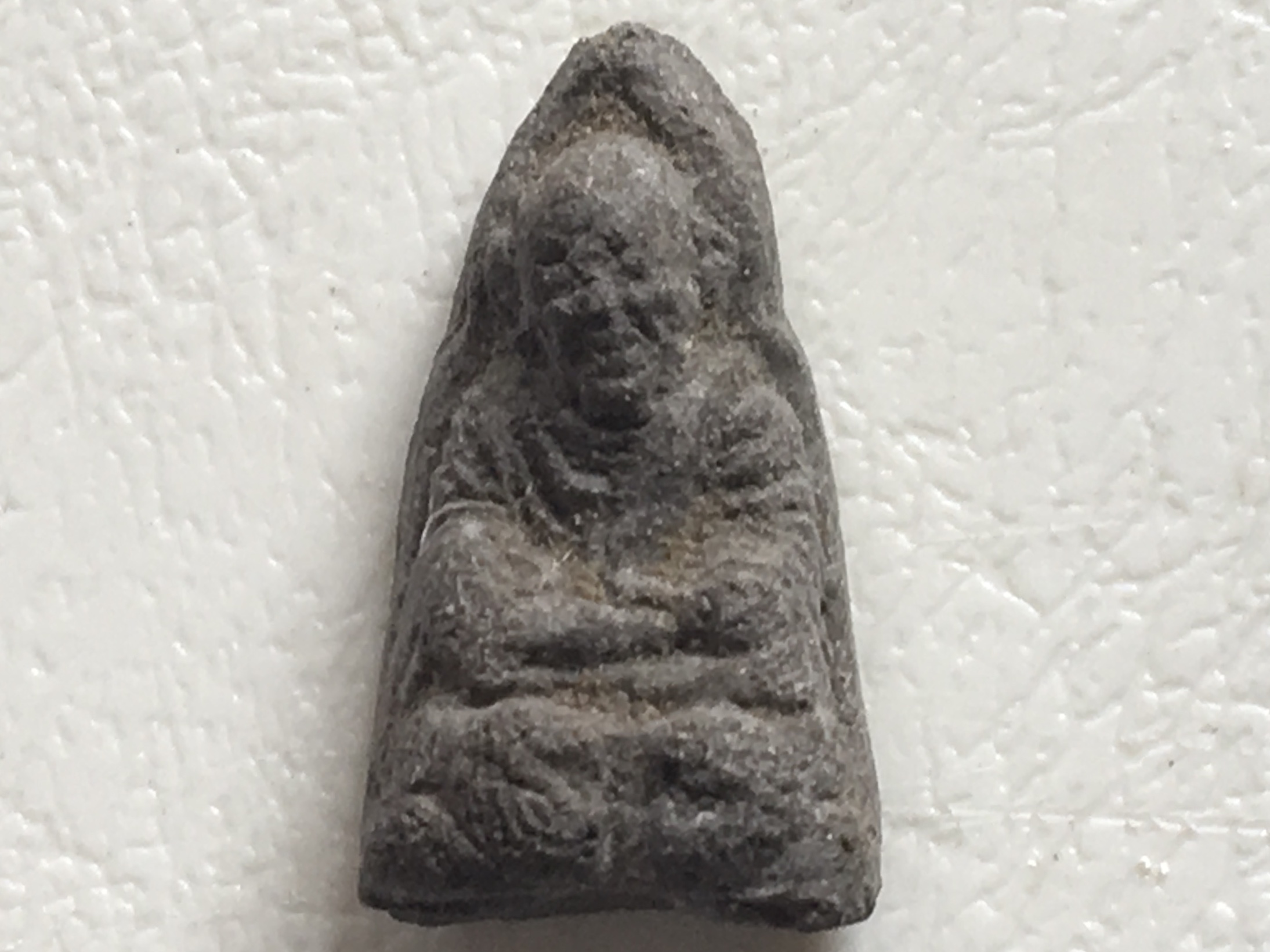 พระหลวงพ่อไกรรุ่นแรก วัดลำพระยา ยะลา ปี2505