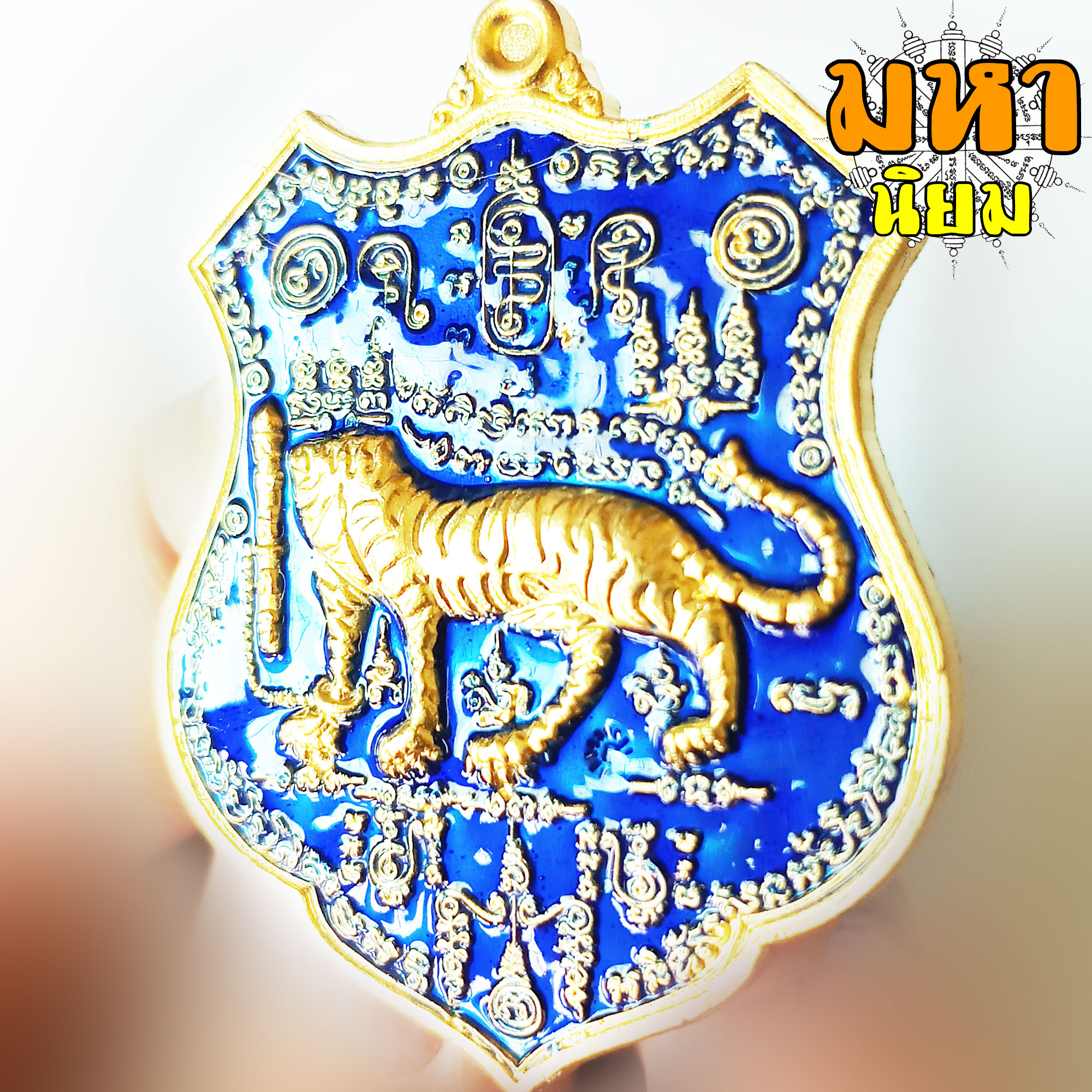 เหรียญเสือหัวขาดตัวหนึ่ง หลวงพ่อไฉน ฉนฺทสาโร จ.ขอนแก่น เนื้อลงยาสี พร้อมกล่องอย่างดี