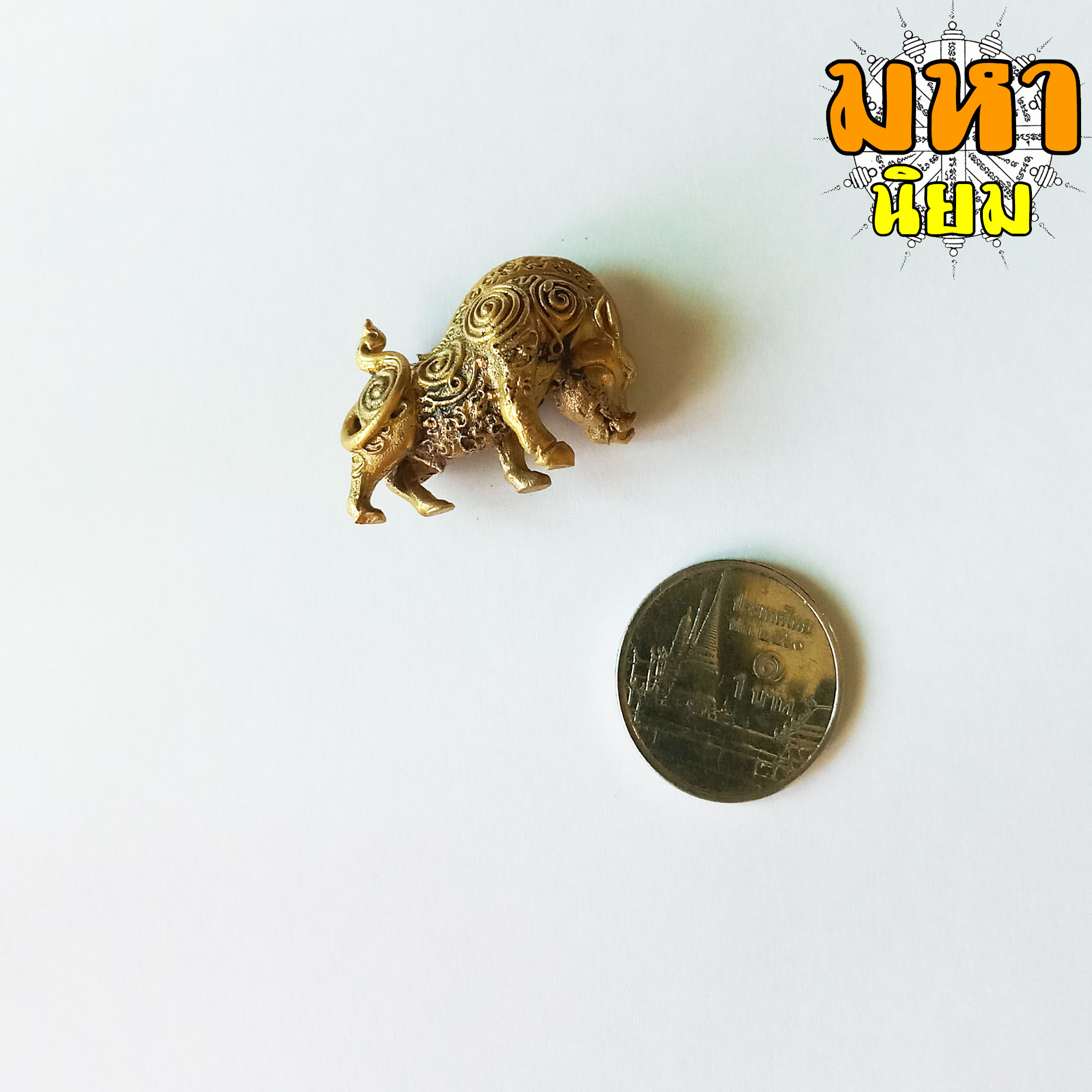 หมูป่ามหาเวทย์ หลวงปู่กาหลง เขี้ยวแก้ว วัดเขาแหลม จ.สระแก้ว