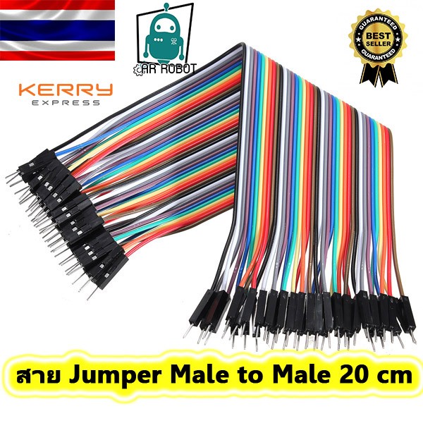 สาย Jumper Male to Male 20 cm