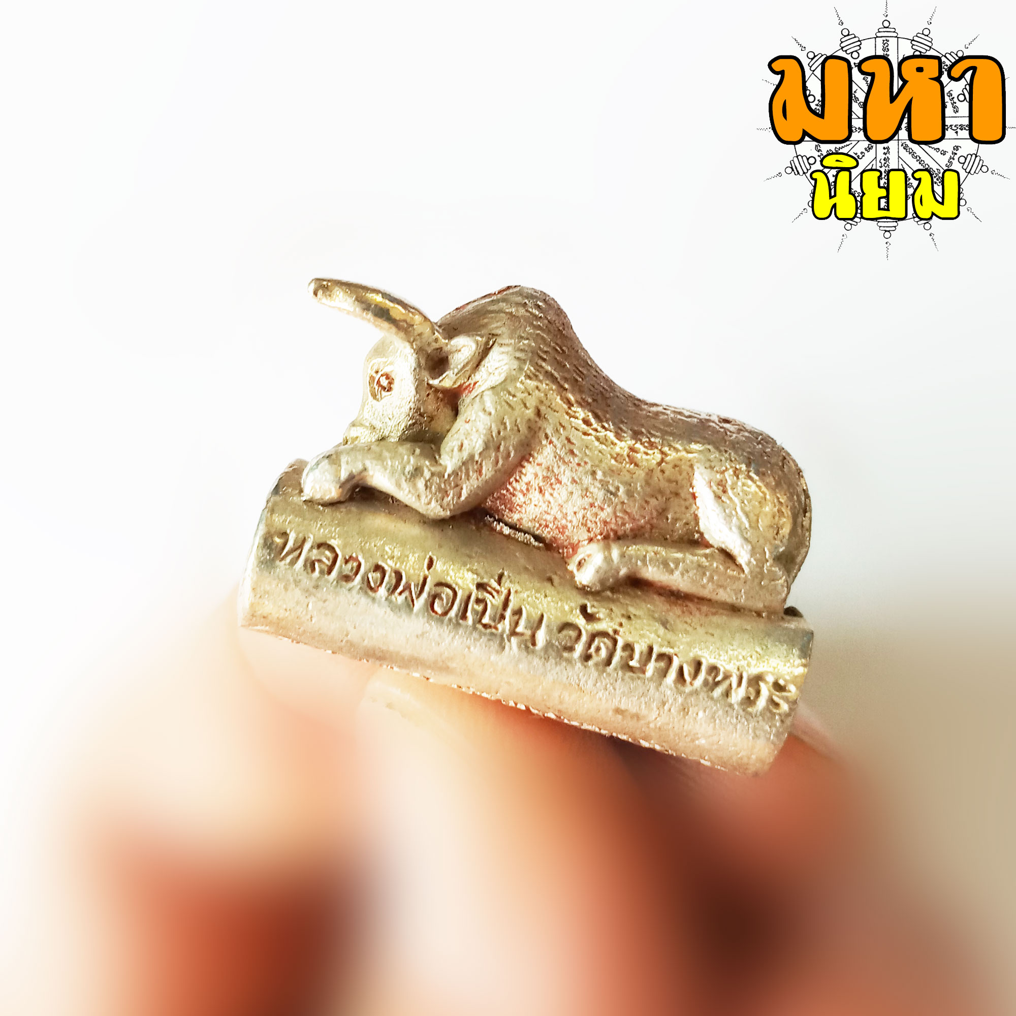 ตะกรุด วัวกระทิง หลวงพ่อเปิ่น วัดบางพระ จ.นครปฐม