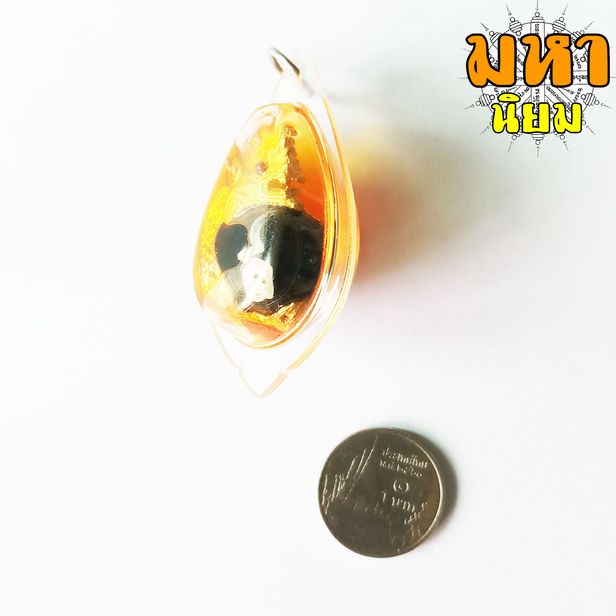 พญานาค คาบลูกแก้ว แช่น้ำมันจันทร์ วัดป่าคำชะโนด จ.อุดรธานี เลี่ยมกรอบอย่างดี