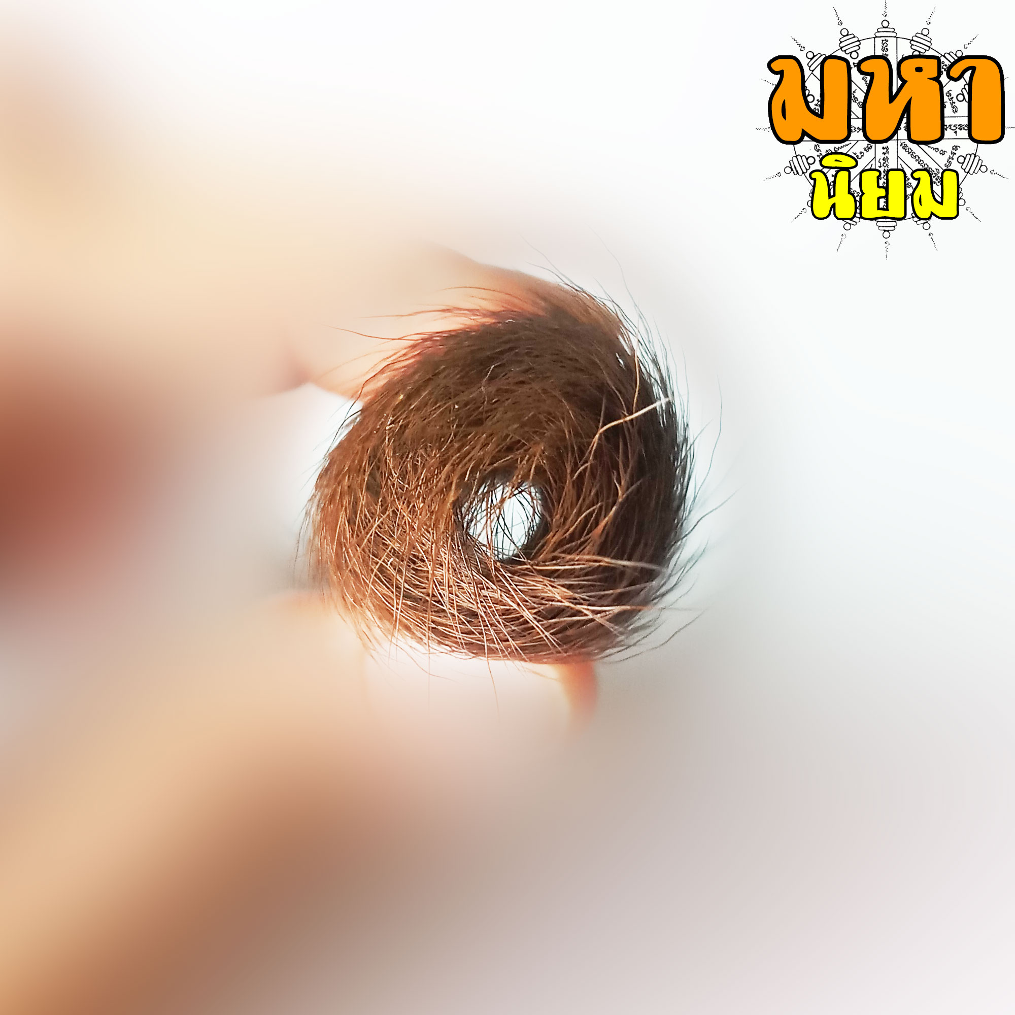 ตะกรุดหนังเสือ (เสือไฟ) หลวงพ่อเปิ่น วัดบางพระ จ.นครปฐม