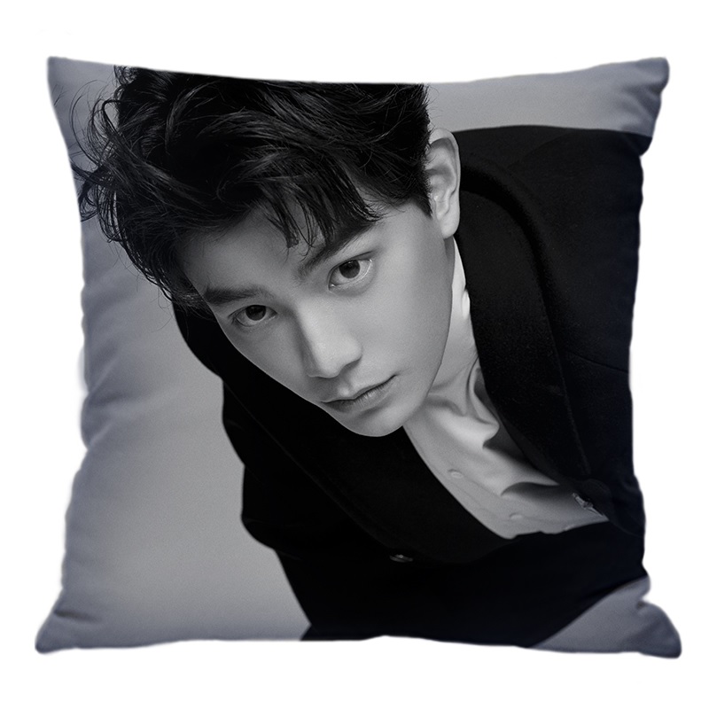 Pre - หมอนลาย ติงอวี่ซี DingYuxi ดาราจีน