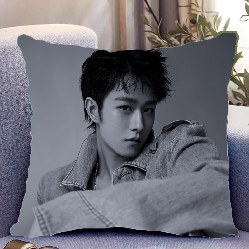 Pre - หมอนลายเถียนเจียรุ่ย 田嘉瑞 TianJiarui 40 cm