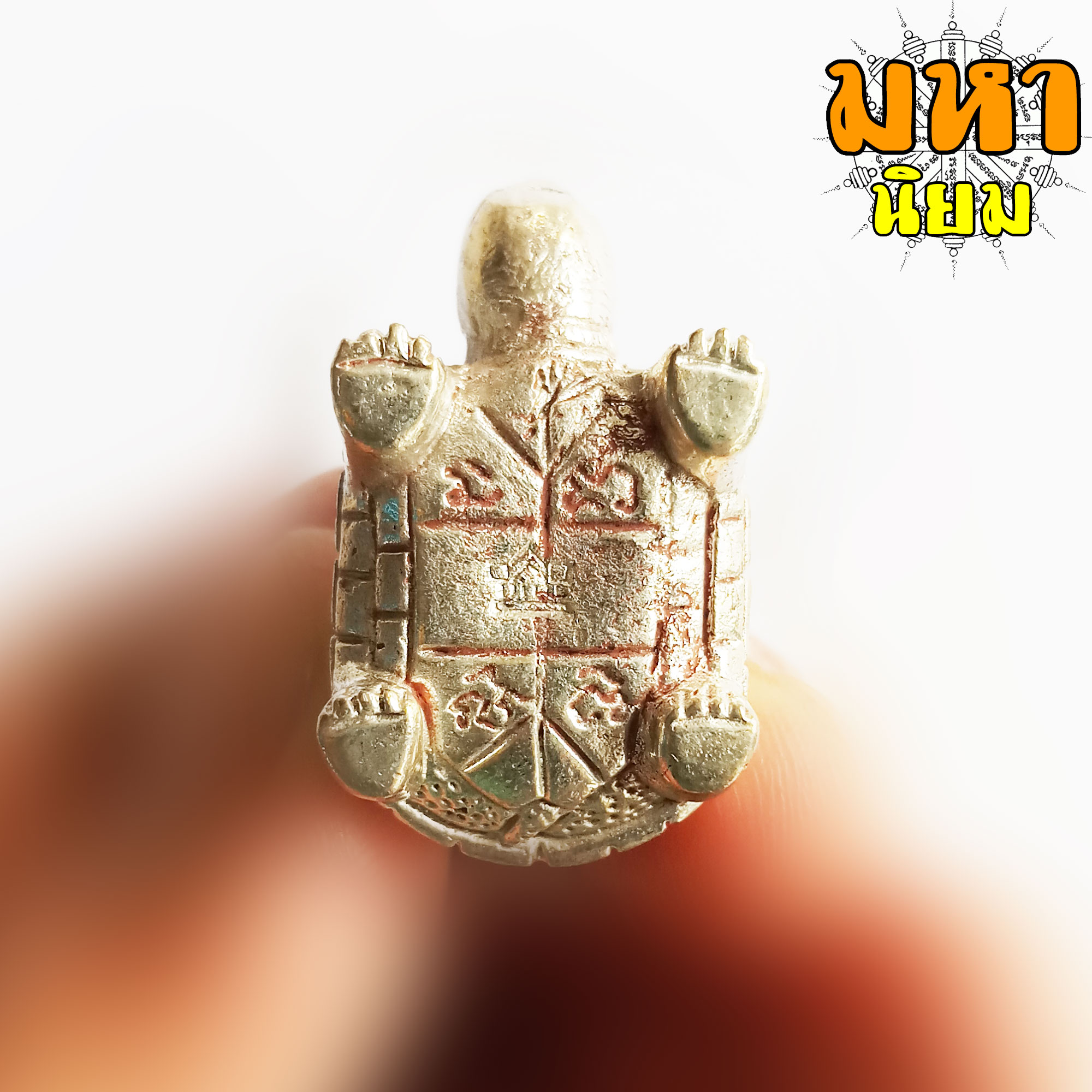 เต่า อิสริโก เนื้อกะไหล่เงิน หลวงปู่ทิม วัดละหารไร่ จ.ระยอง