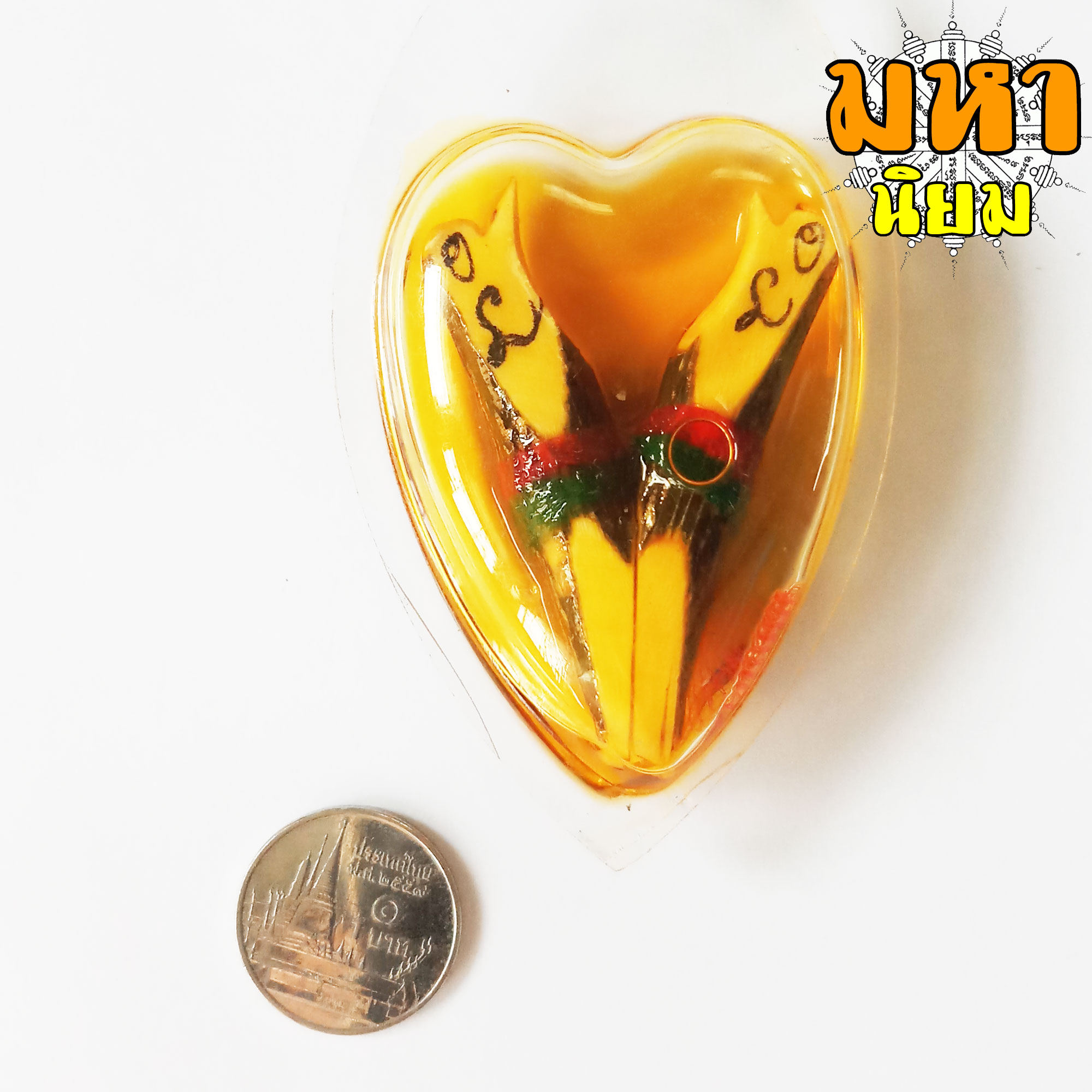 สาริกาลิ้นทอง (องค์ใหญ่) แช่น้ำมัน เลี่ยมกรอบอย่างดี