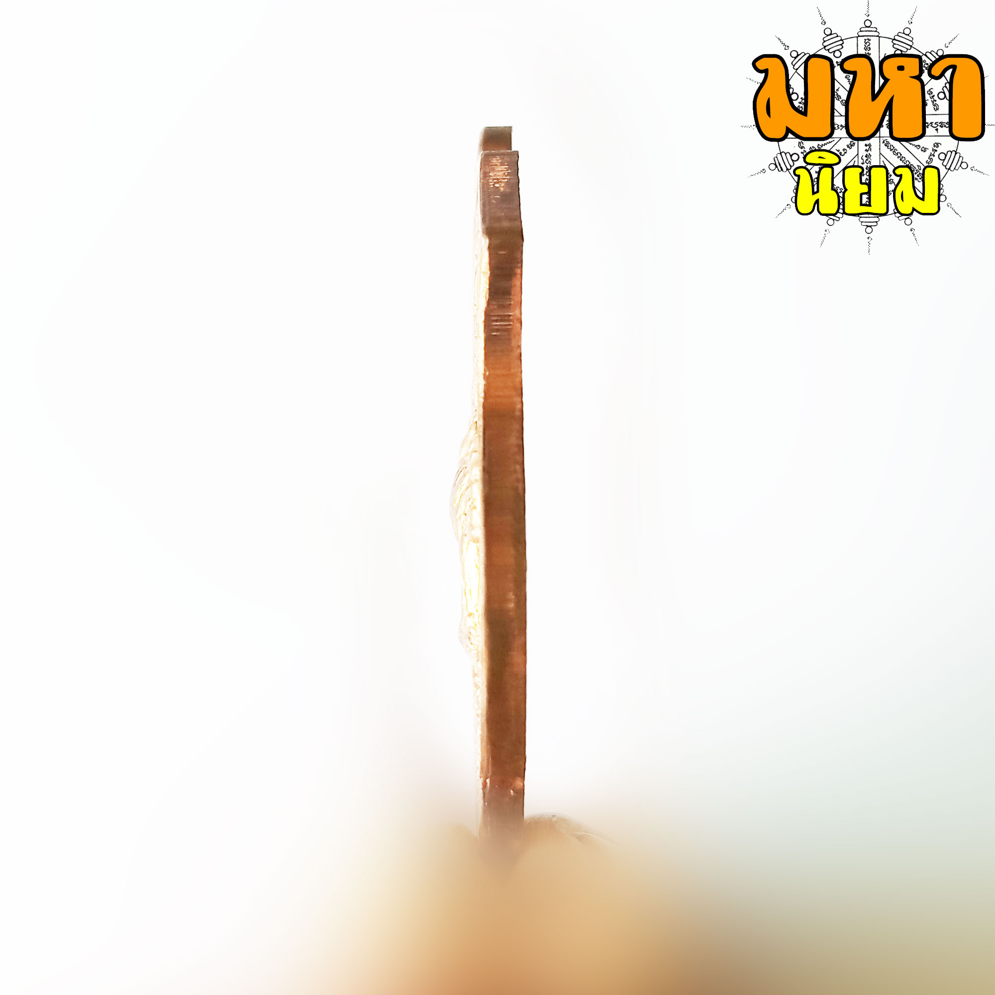 เหรียญเสือหัวขาดตัวหนึ่ง หลวงพ่อไฉน ฉนฺทสาโร จ.ขอนแก่น พร้อมกล่องอย่างดี