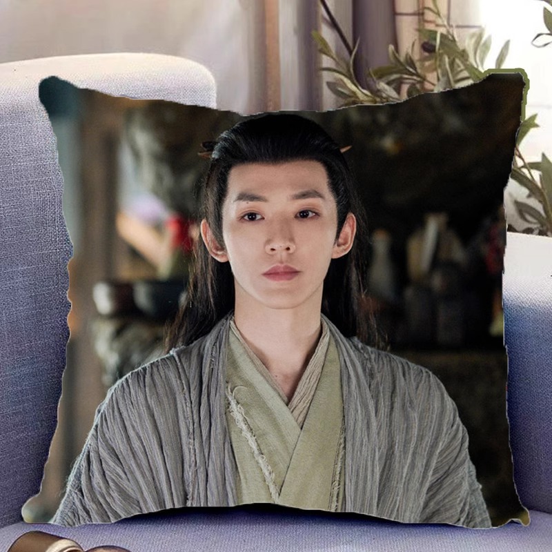 Pre - หมอนลาย เติ้งเหวย DengWei 40 cm ซีรี่ย์จีน หมอนอิง